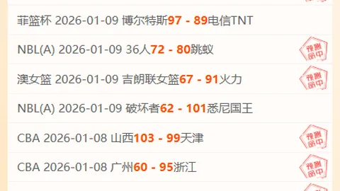 瑞典官方向欧洲杯赛事增派6名支援人员